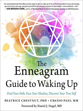 Cover image for The Enneagram Guide to Waking Up