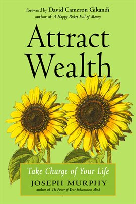Cover image for Attract Wealth