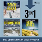 Deichfürst, Sturmfluch, Nebelschuld cover image