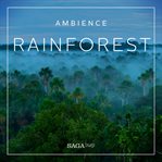Ambience - Rainforest cover image
