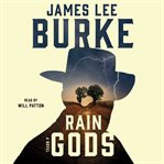 Rain gods [a nove] cover image