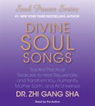 Divine soul songs cover image