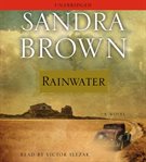 Rainwater: a novel cover image