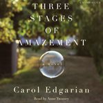 Three stages of amazement : [a novel] cover image