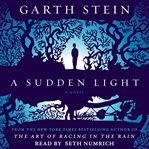 A sudden light : a novel cover image