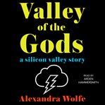 The valley of the gods : a Silicon Valley story cover image