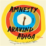 Amnesty : a novel cover image