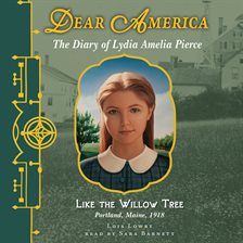 Cover image for Dear America: Like the Willow Tree