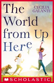 The World From Up Here cover image
