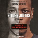Stolen justice : the struggle for African American voting rights cover image