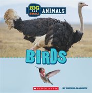 Big and Small: Birds cover image