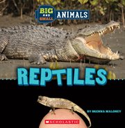 Big and Small: Reptiles cover image