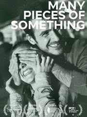 Many pieces of something cover image