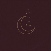 Maybe Moonlight (a Collection of Recordings 2022-2024) cover image