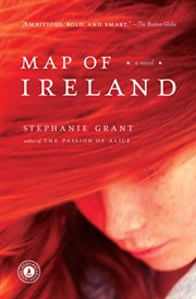 Map of Ireland : a novel cover image