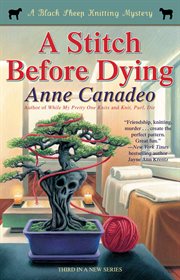A Stitch Before Dying cover image