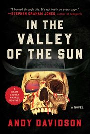 In the valley of the sun : a novel cover image