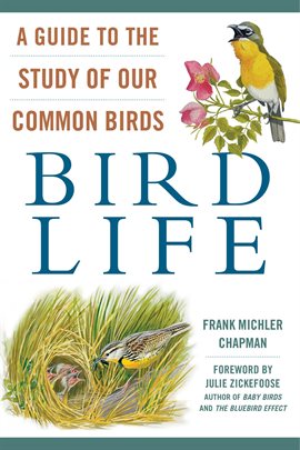 Cover image for Bird Life