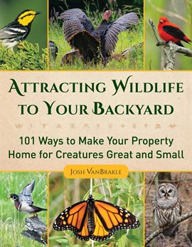 Cover image for Attracting Wildlife to Your Backyard