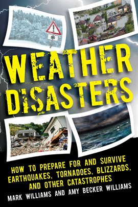 Cover image for Weather Disasters