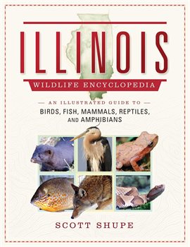 Cover image for The Illinois Wildlife Encyclopedia