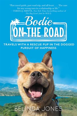 Cover image for Bodie on the Road