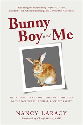 Cover image for Bunny Boy and Me