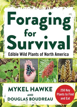 Cover image for Foraging for Survival