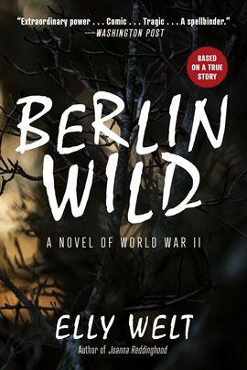 Cover image for Berlin Wild