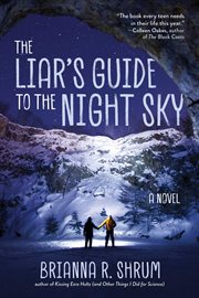 The liar's guide to the night sky : a novel cover image