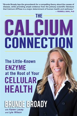 Cover image for The Calcium Connection