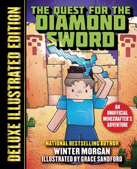 Cover image for The Quest for the Diamond Sword
