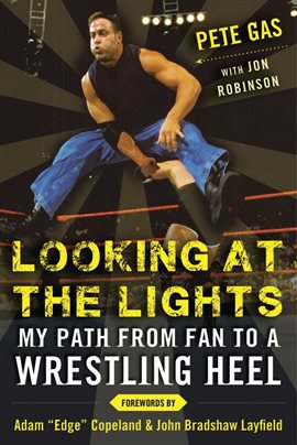 Cover image for Looking at the Lights