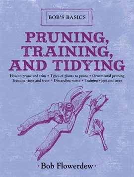 Cover image for Pruning, Training, and Tidying