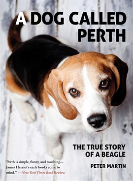 Cover image for A Dog Called Perth