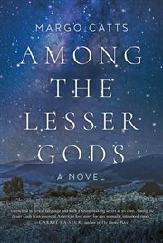 Among the lesser gods : a novel cover image