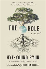 The hole : a novel cover image