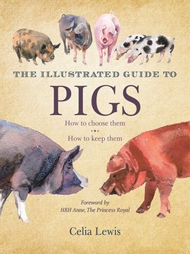 Cover image for The Illustrated Guide to Pigs