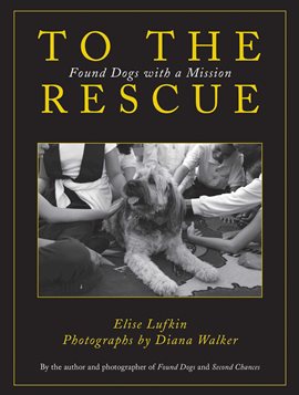 Cover image for To the Rescue