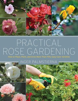 Cover image for Practical Rose Gardening