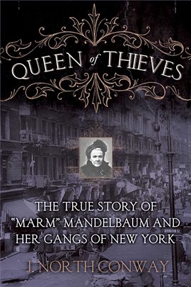Cover image for Queen of Thieves