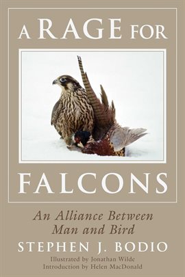 Cover image for A Rage for Falcons
