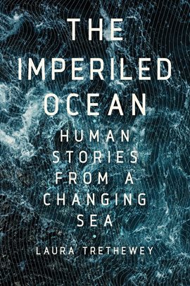 Cover image for Imperiled Ocean