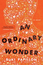 An ordinary wonder : a novel cover image