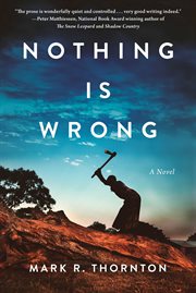 Nothing Is Wrong : A Novel cover image