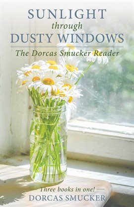 Cover image for Sunlight Through Dusty Windows