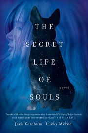 The secret life of souls cover image