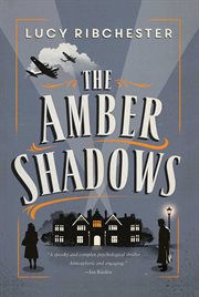 The amber shadows. A Novel cover image
