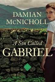 A son called gabriel cover image