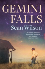 Gemini Falls cover image